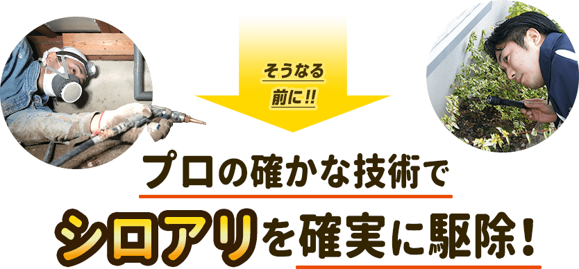 プロの確かな技術でシロアリを確実に駆除。