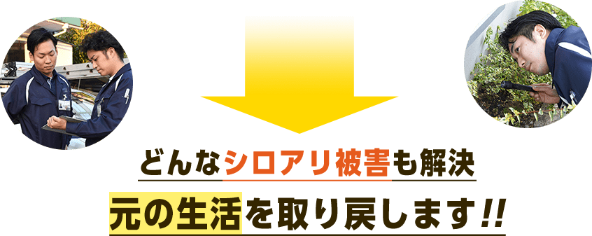 どんなシロアリ被害も解決 元の生活を取り戻します